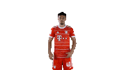 Noussair Mazraoui Football Sticker by FC Bayern Munich