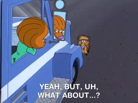 nickrewind giphydvr nicksplat angry beavers giphyab017 GIF