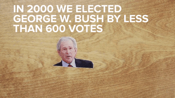 George W. Bush Won by Less Than 600 Votes