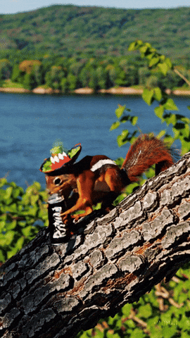 Cinco De Mayo Beer GIF by RIZNWILD