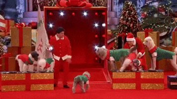 americas got talent holiday spectacular dog trick GIF by America's Got Talent
