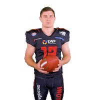 Football Nfl Sticker by Potsdam Royals
