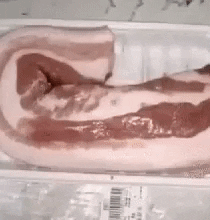 conned bacon fat GIF