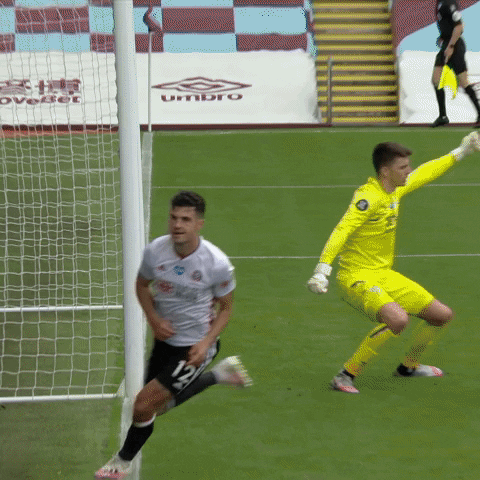 Premier League Win GIF by Sheffield United Football Club