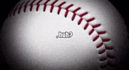 Baseball Alex GIF