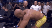 ufc sports sport ufc mma GIF