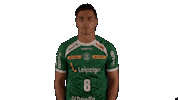 Handball-Bundesliga Sport Sticker by LIQUI MOLY HBL