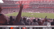 2019 Nfl Football GIF by NFL