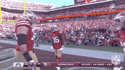 National Football League GIF by NFL