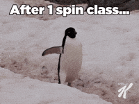 Out Of Shape Workout GIF by Special K