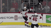 Ice Hockey GIF by NHL