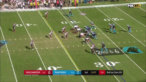 carolinapanthers GIF