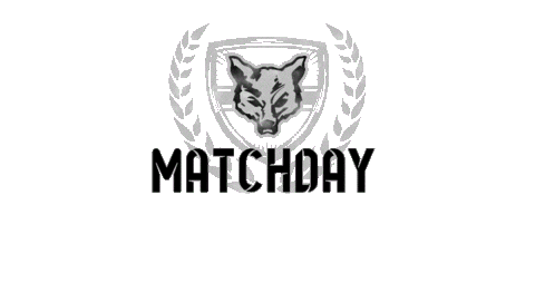 Ff Matchday Sticker by Fichtenfuechse