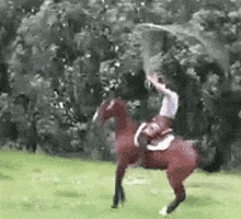 horse jumping rope GIF