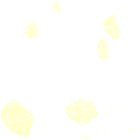 Mineral Makeup Sticker by KISSmineral