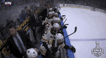 celebrate ice hockey GIF by NHL
