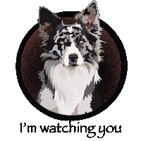 Dog Sticker