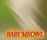 Cat Baby GIF