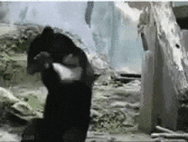 lightsaber GIF