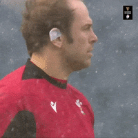 World Rugby Snow GIF by Guinness Six Nations
