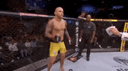 ufc sports sport ufc mma GIF