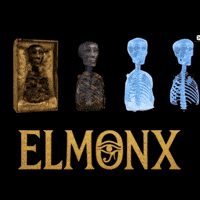 Halloween Skull GIF by ElmonX