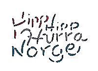 Celebrate 4Th Of July Sticker by Nora Fikse