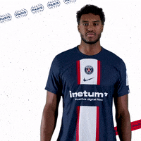 Happy Sport GIF by Paris Saint-Germain Handball