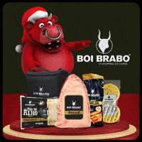 Fim De Ano GIF by Boi Brabo