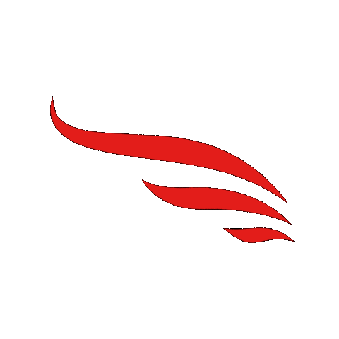 HaydenSynchro giphygifmaker teamusa iceskating synchro Sticker