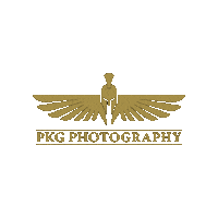 Pkg1 Sticker by PKG Photography
