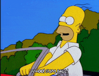 homer simpson GIF