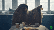 cetelemfr tea cold the yeti GIF