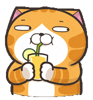 Cat Lol Sticker by MochiDad