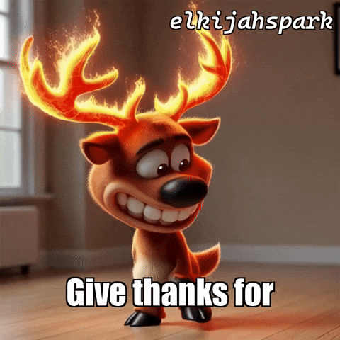 Fire Glow GIF by elkijahspark