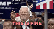 This Is Fine Election 2016 GIF