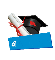 SGdeOverlaat school examen geslaagd waalwijk Sticker