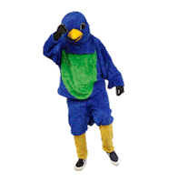 Angrybird Sticker by Snowbird