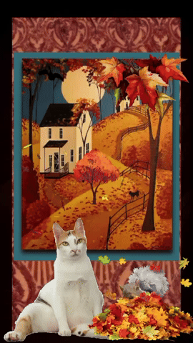 janellegiese giphyattribution GIF