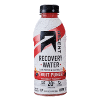 Whey Protein Recovery Water Sticker by Ascent Protein