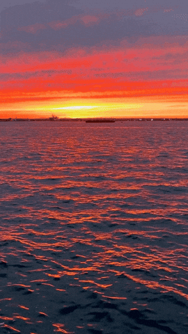 GIF by Learner Circle