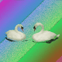 art loop GIF by kidmograph