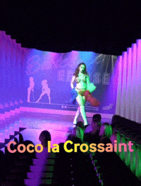 Party Dancer GIF
