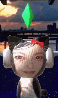 Cat Train GIF