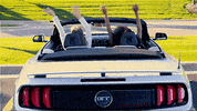 Fordsocial GIF by Ford