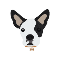 Dog Asi Sticker