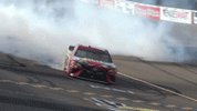 kyle busch win GIF by NASCAR