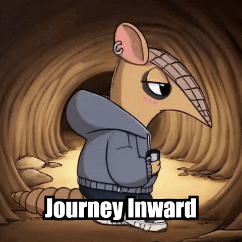 Wisdom Self-Reflection GIF by Chillo Dillo