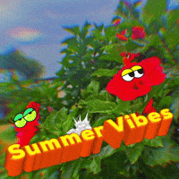 Summer Rainbow GIF by KaoruHironaka