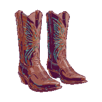 Cowboy Boots Sticker by Lainey Wilson